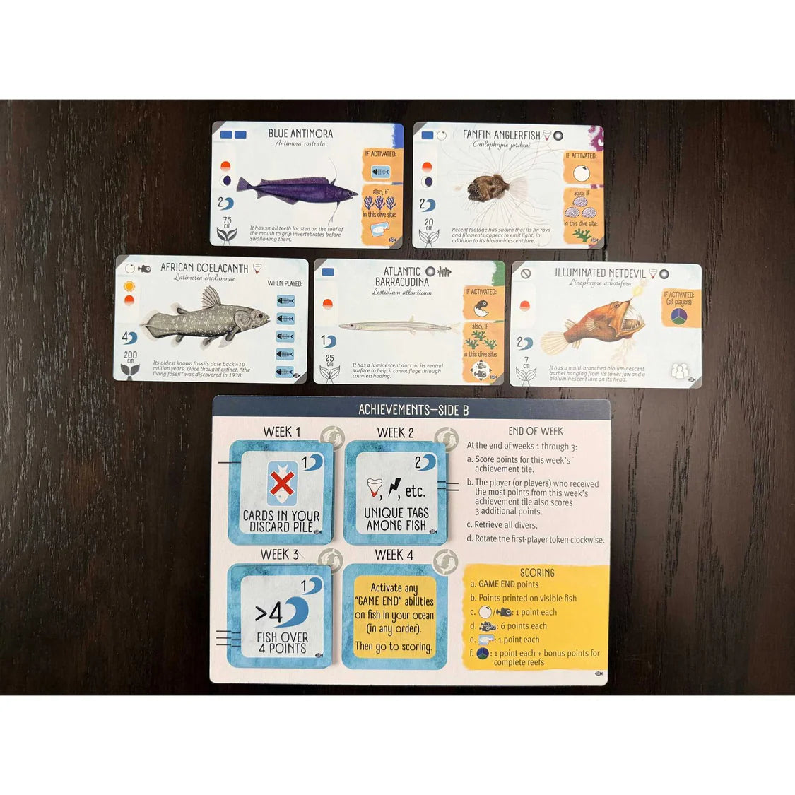 Finspan: Sharks & Reefs Expansion Board Game Stonemaier Games
