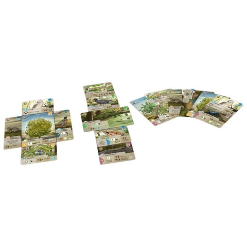 Forest Shuffle: Dartmoor Card Game Lookout Games
