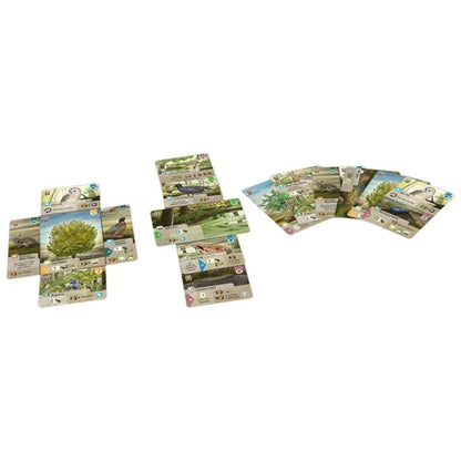 Forest Shuffle: Dartmoor Card Game Lookout Games