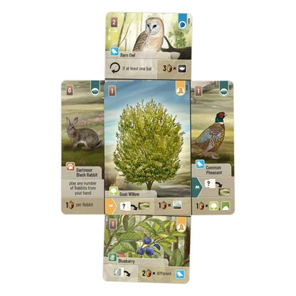 Forest Shuffle: Dartmoor Card Game Lookout Games