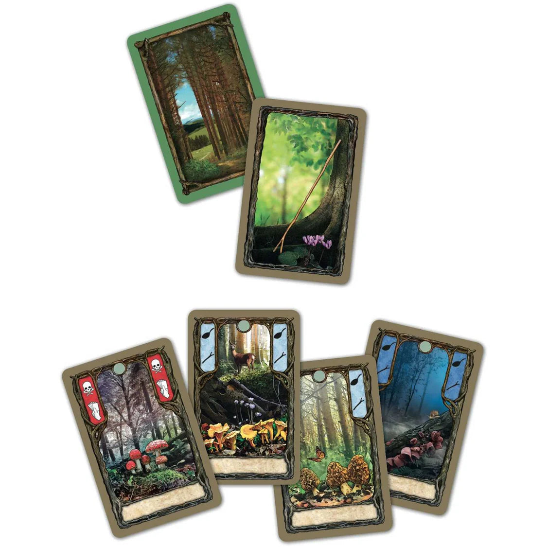 Fungi Card Game Pegasus Spiele