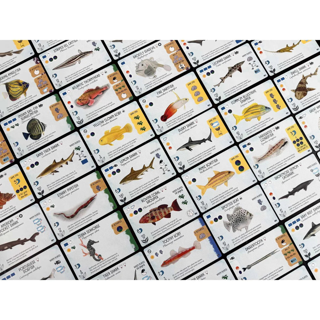 Finspan: Sharks & Reefs Expansion Board Game Stonemaier Games
