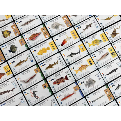 Finspan: Sharks & Reefs Expansion Board Game Stonemaier Games